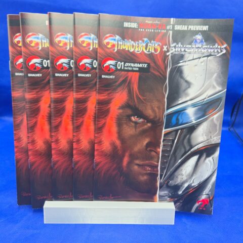 Thundercats x SilverHawks #1 Cover B Lucio Parrillo LOT OF 5 for sale at Nostalgik Vibes