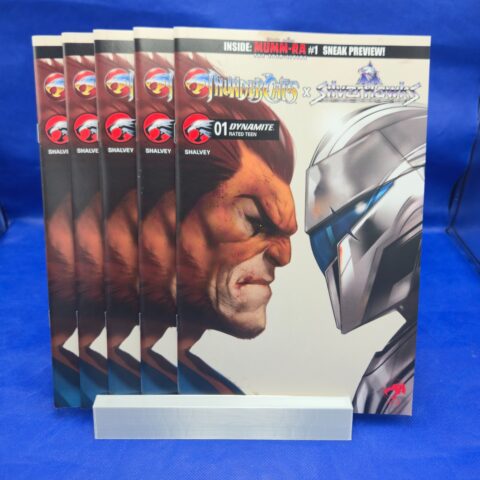 Thundercats x SilverHawks #1 Cover D Ben Oliver LOT OF 5 for sale at Nostalgik Vibes