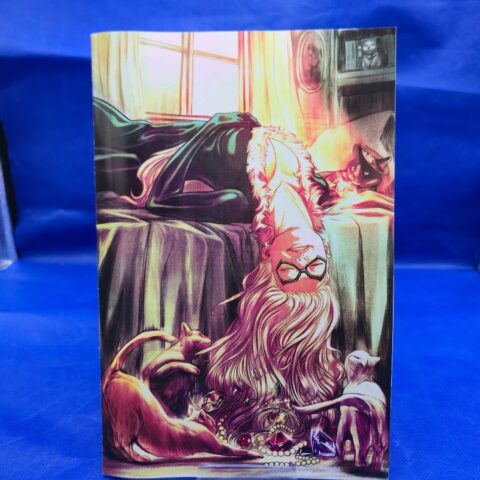 Amazing Spider-Man #1 LGY896 Marvel Variant Comic Black Cat Art 2022 NM for sale at Nostalgik Vibes