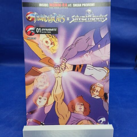Thundercats x SilverHawks #1 Cover E NM Animation Art for sale at Nostalgik Vibes