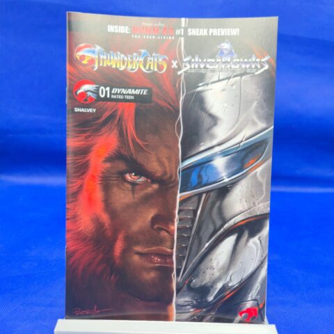 Thundercats x SilverHawks #1 Cover B NM Lucio Parrillo for sale at Nostalgik Vibes
