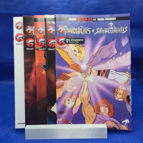 Thundercats x SilverHawks #1 Variant Cover B-F NM LOT OF 5 for sale at Nostalgik Vibes
