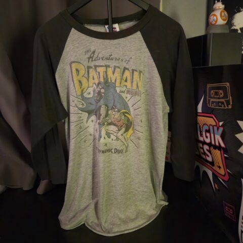 Junk Food Batman and Robin Raglan T-Shirt Large 3/4 Sleeve DC Comics Retro Tee for sale at Nostalgik Vibes