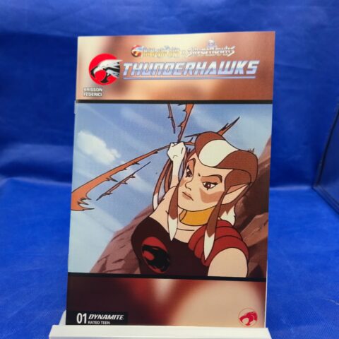 ⚡ Thundercats x Silverhawks Thunderhawks #1 CVR E Animation Art NM+