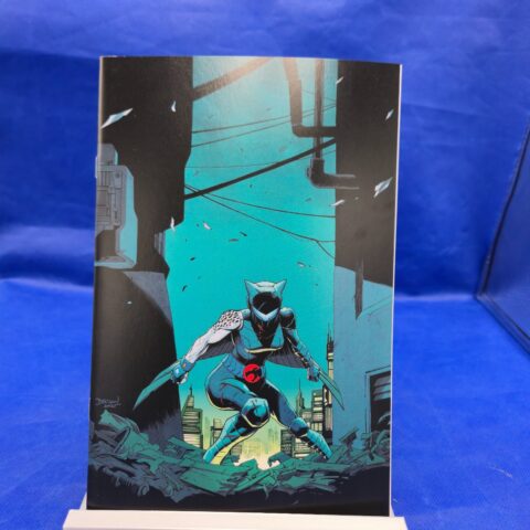 ⚡ Thundercats Thunderhawks #1 CVR Q 1:50 Declan Shalvey Virgin NM+ Rare