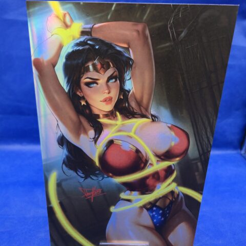 Wonder Woman Multiverse Saga Artist Alley Foil Variant Cover 2 DC
