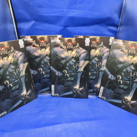 Absolute Green Arrow #1 Cover B LOT OF 5 Skull Hood DC All-In