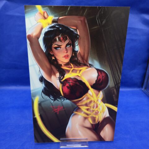 Wonder Woman Multiverse Saga Artist Alley SECRET Lasso Variant DC
