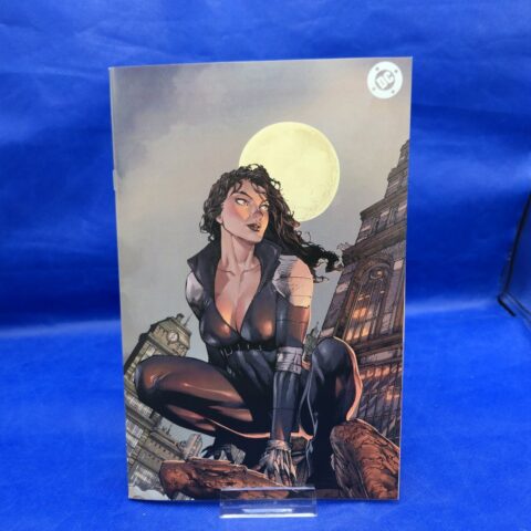 Absolute Catwoman #1 Virgin Variant DC Comics NM