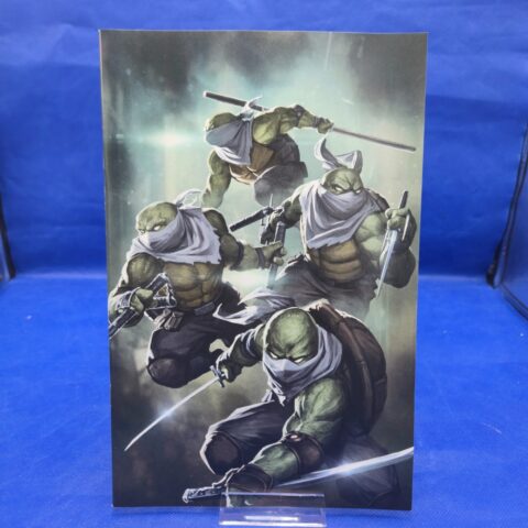 TMNT The Armageddon Game #1 Skan Srisuwan Virgin Variant IDW 2022 NM