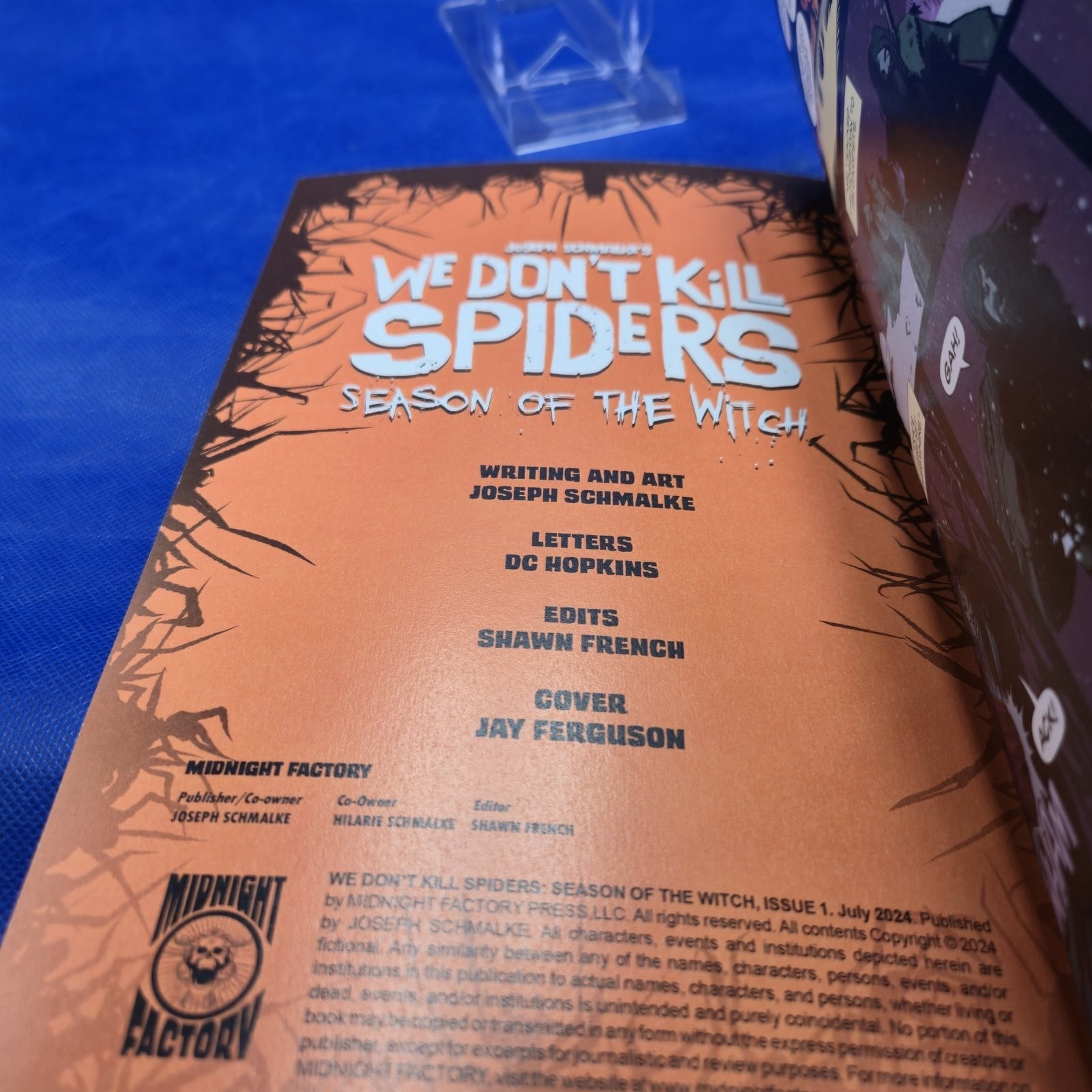 We Dont Kill Spiders Season of the Witch #1 Ferguson Foil Virgin LTD 100 - Image 2