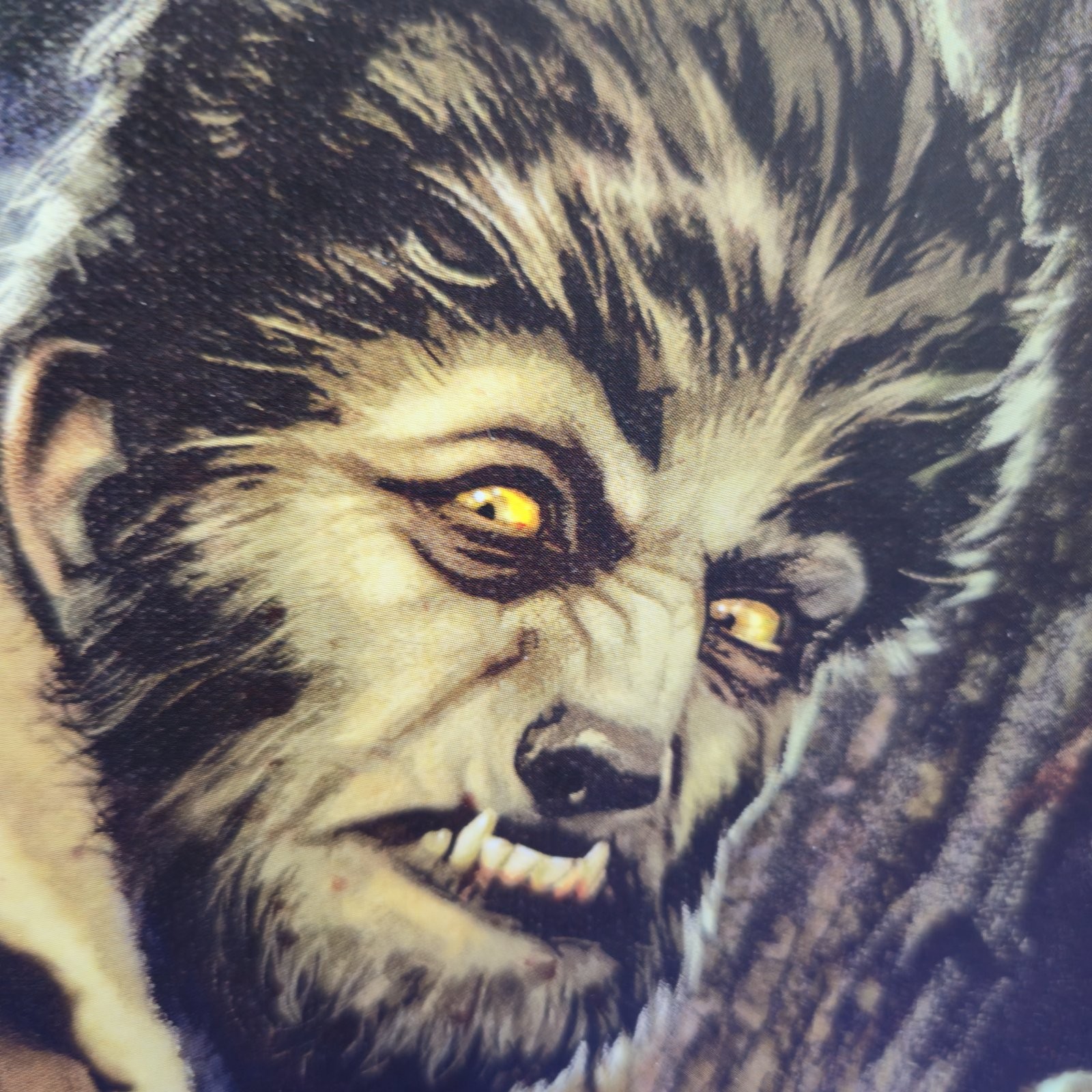 Universal Monsters Blood of the Wolf Man #1 Cover B Middleton Variant NM
