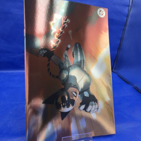 Absolute Catwoman #1 Cover E Bengal Foil Variant DC 2026 NM