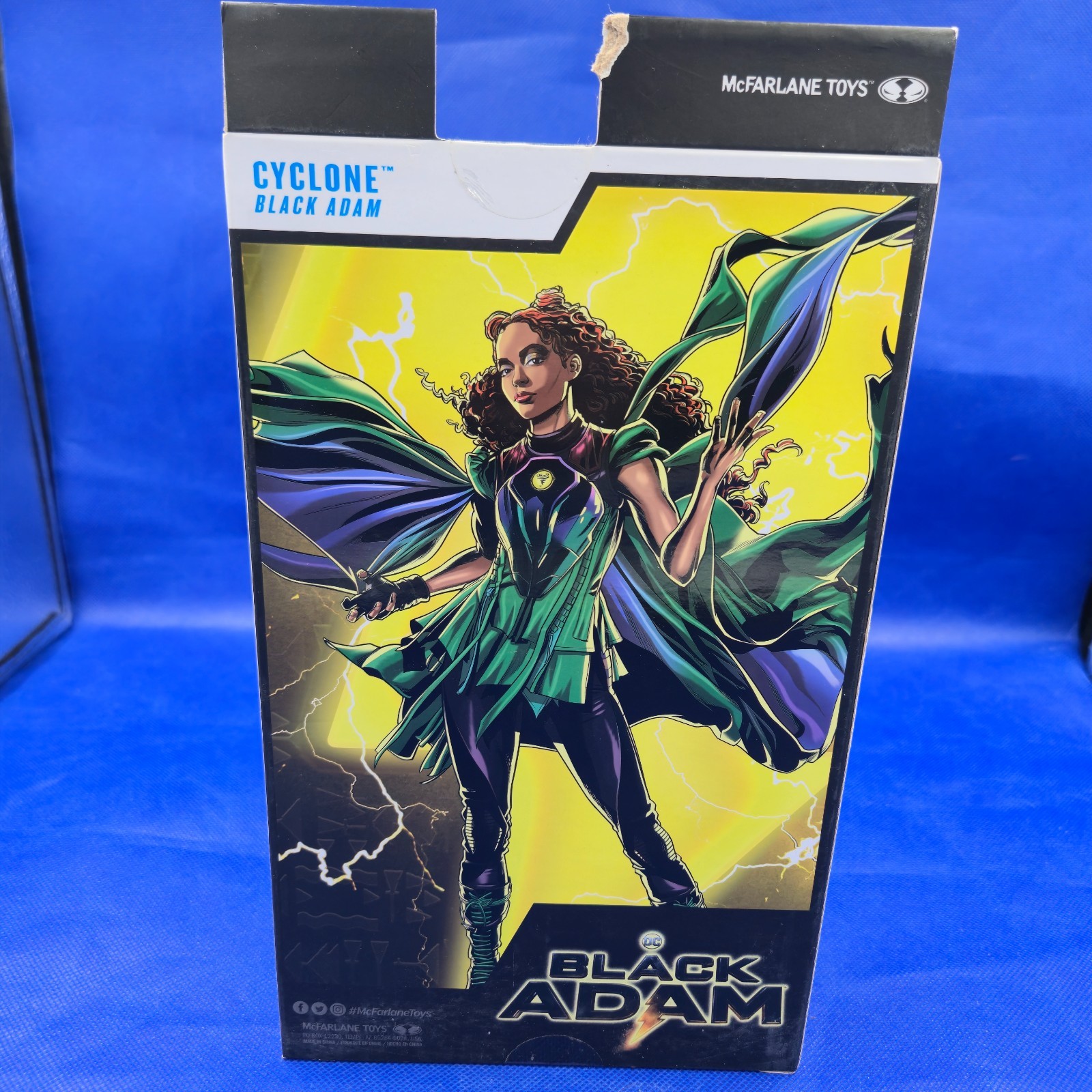 Selina Kyle Unmasked Action Figure – The Batman (McFarlane Toys) – NIB
