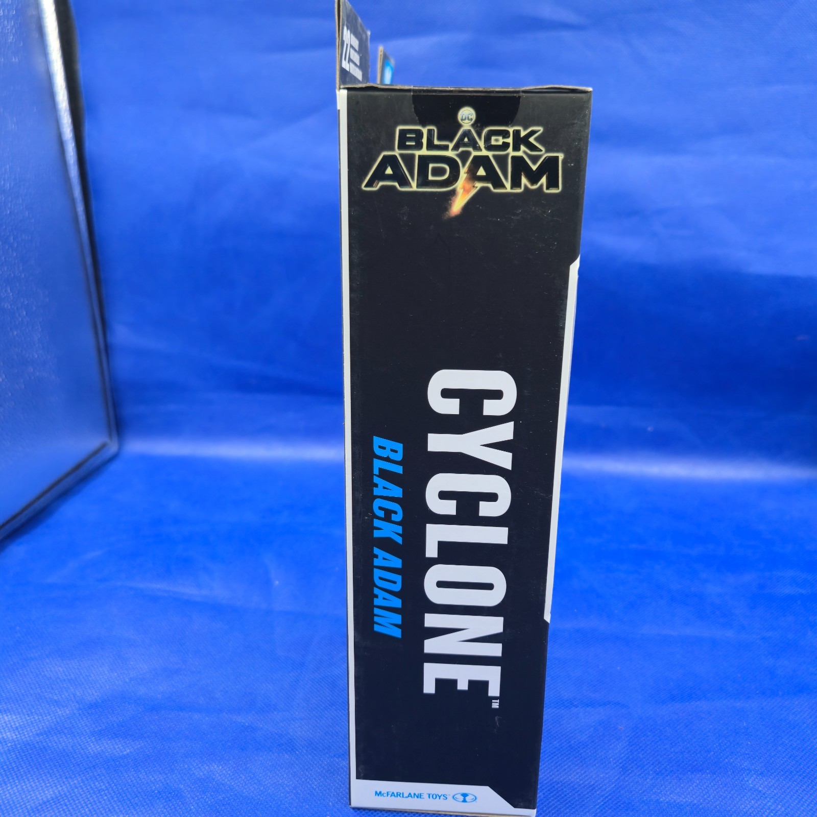 Selina Kyle Unmasked Action Figure – The Batman (McFarlane Toys) – NIB