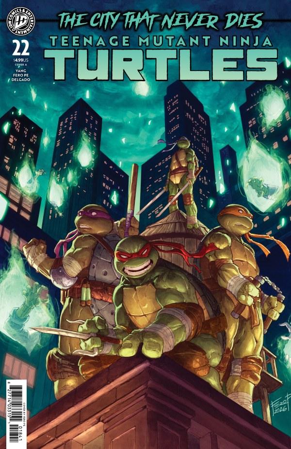 Teenage Mutant Ninja Turtles #22 comic book cover